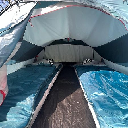 The Esn Kingsday Campsite 암스테르담 외부 사진